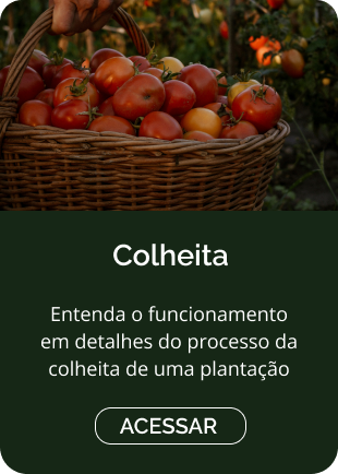 Colheita